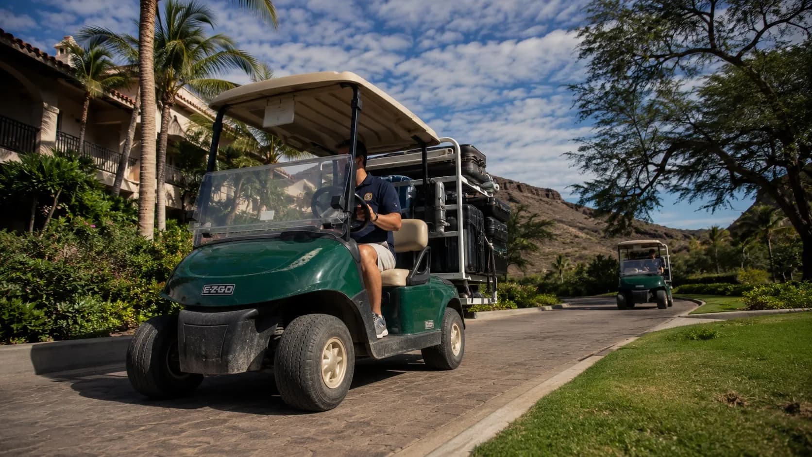 Prove which carts earn and which just sit
